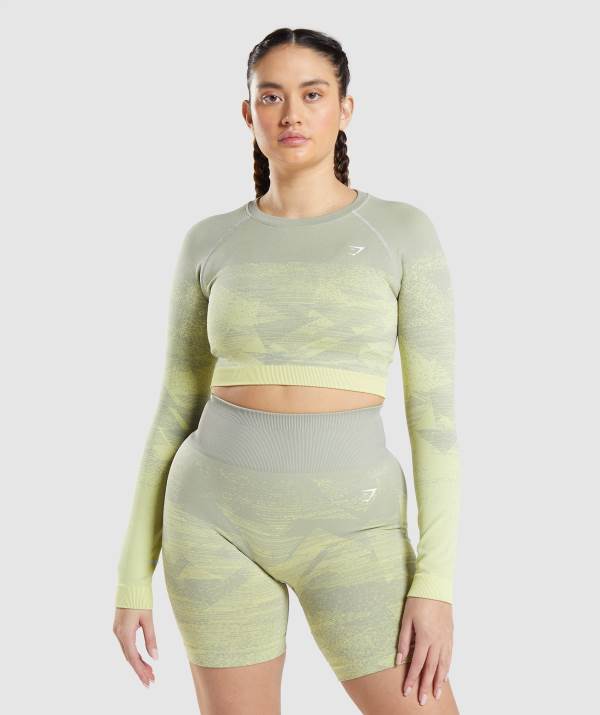 Damske Crop Top Gymshark Adapt Ombre Siva | GQ3542169